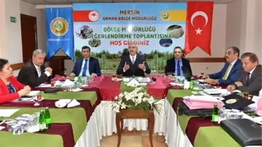 Orman Bölge Müdürlüğü, 2018'de Yüzde 100'ün Üzerinde Gerçekleşme Sağladı