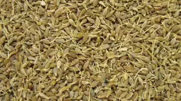 Ege'den 149 Ülkeye Hububat, Bakliyat, Yağlı Tohumlar, Bitkisel Yağ ve Baharat İhraç Edildi