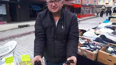 Şifa Kaynağı 'Kuru Erik'