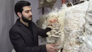 Ziraat Mühendisi Evinde Mantar Yetiştirdi