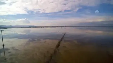 Büyük Menderes Nehri Taştı, Ekili Alanlar Su Altına Kaldı
