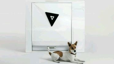 Dünyanın İlk Akıllı Köpek Tuvaleti Kickstarter'da Satışa Çıktı