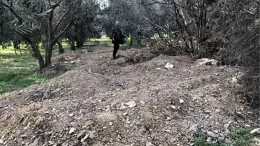 Defineciler, 2 Bin 500 Yıllık Dikilitaş'ın Çevresini Delik Deşik Etti