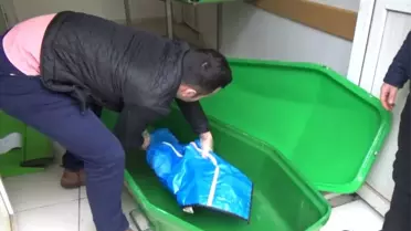 Nişanlısından Hamile Kalan Genç Kadın, Tuvalette Doğurduğu Bebeğini Klozete Atıp Öldürdü