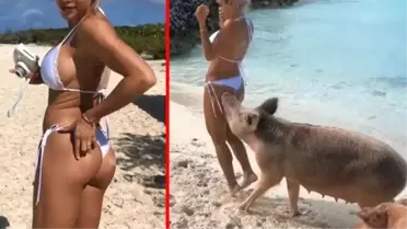 Dünyaca Ünlü Fitness Fenomenini Kalçasından Domuz Isırdı!