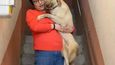 Hayata Tutunan Engelli Köpeğe Bebek Gibi Bakıyor