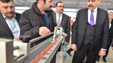 Tıbbi ve Aromatik Bitkiler Vadisi'nde Yerli Fide Üretilecek