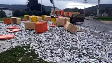 Tırdan Düşen Kasalar Karayolunu Balık Haline Çevirdi