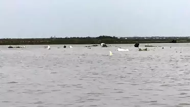 ABD'de Kargo Uçağı Düştü: 3 Ölü