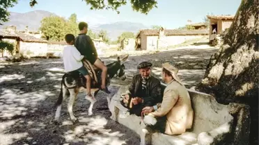 Ara Güler'in objektifinden keşfettiği antik kent Aphrodisias