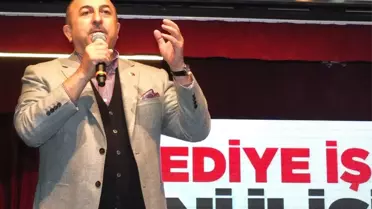 Bakan Çavuşoğlu'ndan Avusturya'ya 'Bozkurt' Tepkisi