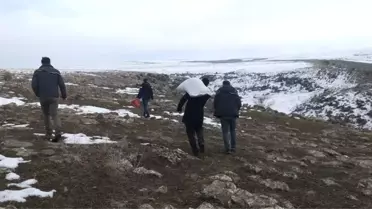 Kars'ta Yaban Hayvanlara Yem Bırakılıyor