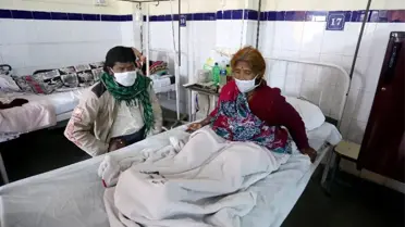 Domuz Gribinden Ölenlerin Sayısı 530'a Yükseldi