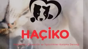 Küçük Dostlarımız için El Ele Verdiler