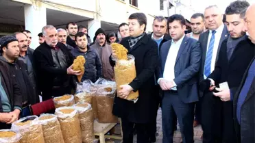 Milletvekili Tutdere: 'Tütün Biterse Adıyaman Açlığa Mahkum Edilir'