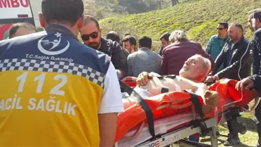 Arsa Kavgası Kanlı Bitti, Kardeşler Birbirini Vurdu