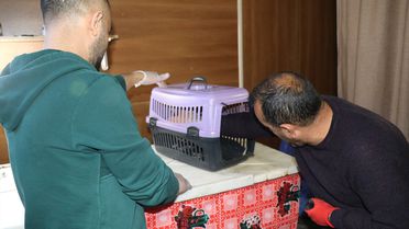 Yaralı 'Bahri' Kuşuna Şefkat Eli