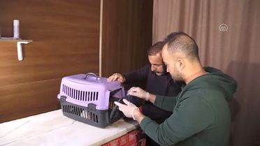 Yaralı 'Bahri' Kuşuna Şefkat Eli