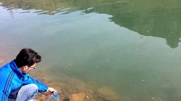 Suşehri'nde Toplu Balık Ölümleri