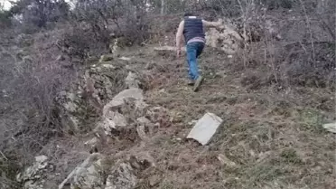 Ağaç Kesmek İçin Gittiği Ormanda Cesedi Bulundu