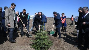 Adalet Ormanı'na İlk Fidan Vali Canalp'ten