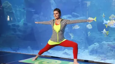 İstanbul Akvaryum, Ece Vahapoğlu İle Yoga Etkinliği Düzenledi