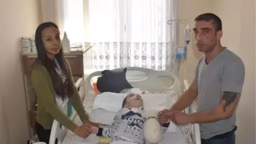Küçük Ege'ye Azot Gazı Verilmesinde Kusurlu Bulunan Personele, Soruşturma İzni