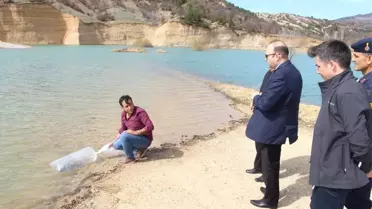 Göletlere 25 Bin Adet Pullu Sazan