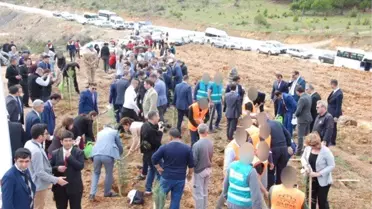 Silifke'de Adalet Ormanı Oluşturuldu