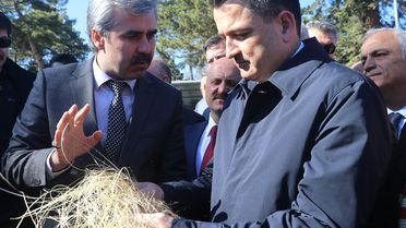 Bakandan Altız Yavrulayan Koyuna Nazar Boncuğu