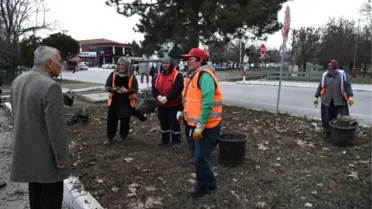 Güller Diyarı Isparta'ya 5 Milyon Gül Dikimi Hedefi