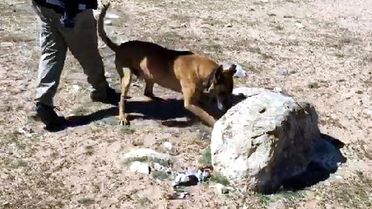 Kayseri'de Toprağa Gömülü Uyuşturucu Bulundu, 2 Gözaltı