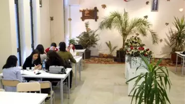 Kanarya Sesleri Arasında Ders Çalışarak Motivasyonları Artıyor