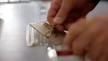 Sandığımdan Kim Çıktı? Sandığımdan Hangi Parti Çıktı? (Sandık sorgulama aracı)