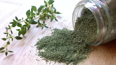 13 Bin Ton Kekikten, 40 Milyon Dolar Gelir