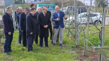 Örnek Fındık Bahçesi Yeşillendi