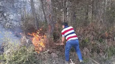 Sinop'ta Orman Yangını