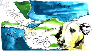 Türkiye'de Tanıştığım Sokak Köpeği Nasıl Hayatımı Değiştirdi?'