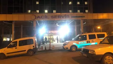 Şanlıurfa'da Aracın Çarptığı Çoban Öldü