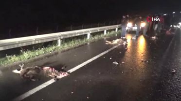 Sürüyü Yoldan Geçirmeye Çalışan Çobanın Feci Ölümü