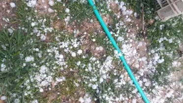 Kayısıyı Dolu Vurdu