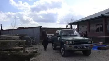 Afşin'de Şarbon Paniği