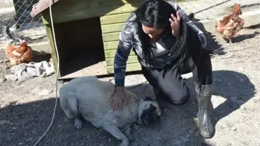 Avukatın Sopayla Dövdüğü 'Adalet' Kör Oldu