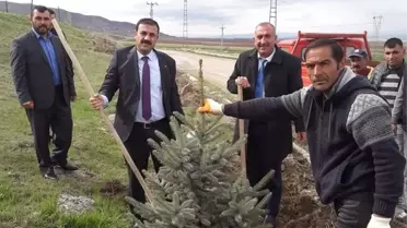 Çiçekdağı İlçe Belediye Başkanı Hakanoğlu: 'Yeşil Bir Çiçekdağı Oluşturacağız'