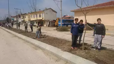 Babaeski'de Fidan Dikim Etkinliği