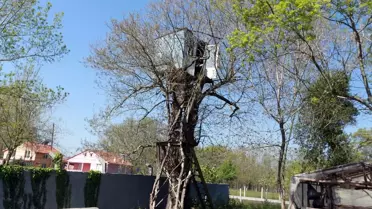 Ağaçların Üzerinde 9 Metre Yükseklikte Kulübe