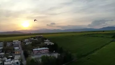 Kırlangıçlar Drone Etrafında Halka Oluşturdu