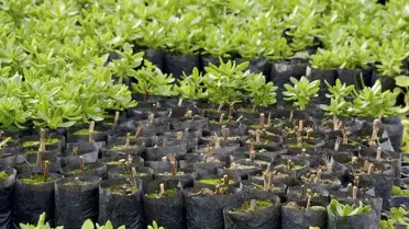 Meram'ın Yeşili Çelikten!