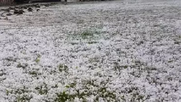 Osmaniye'deki 2 Köyde Dolu Yağışı Etkili Oldu