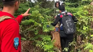 Rize'de Kaybolan 2 Çocuk, 17 Saat Sonra Ormanda Sağ Bulundu (9)